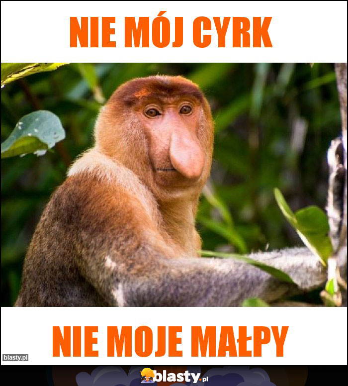 Nie mój cyrk