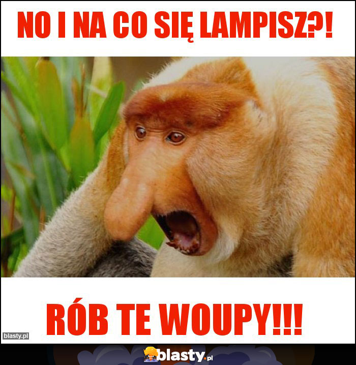 No i na co się lampisz?!