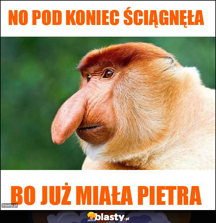 No Pod koniec ściągnęła