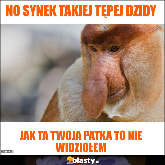 No synek takiej tępej dzidy