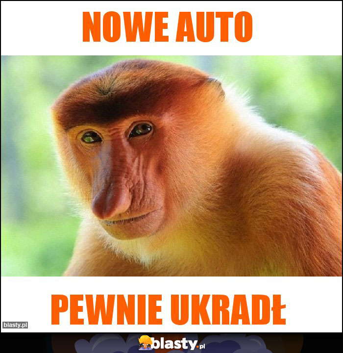 nowe auto