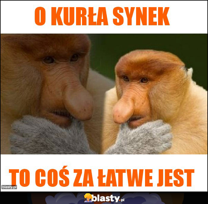 O kurła synek