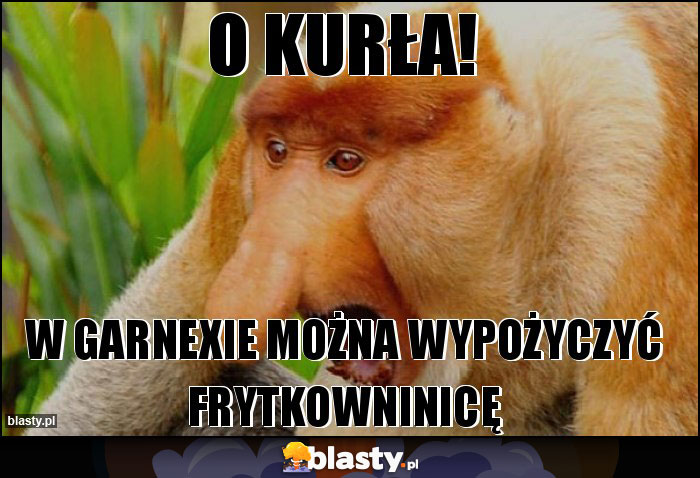 O Kurła!