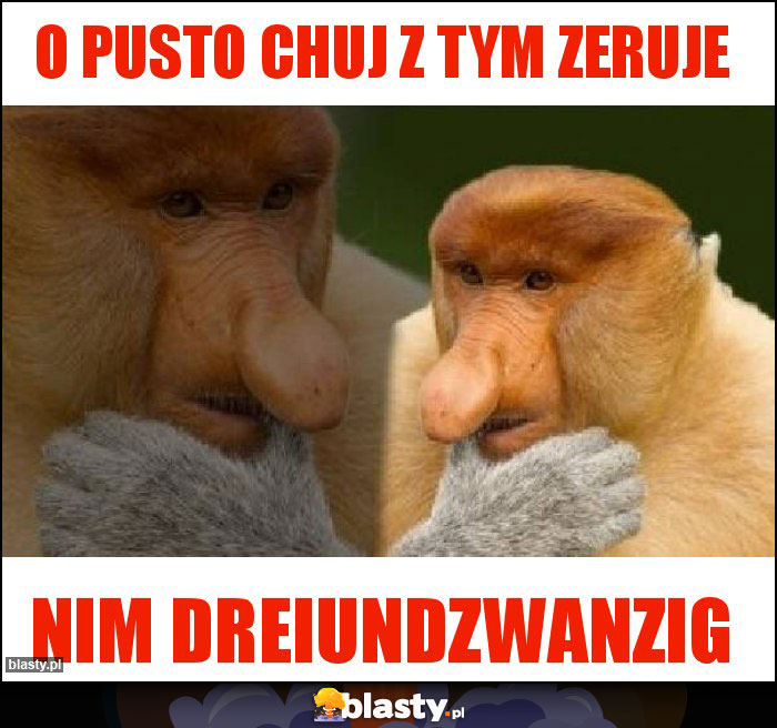 O pusto chuj z tym zeruje