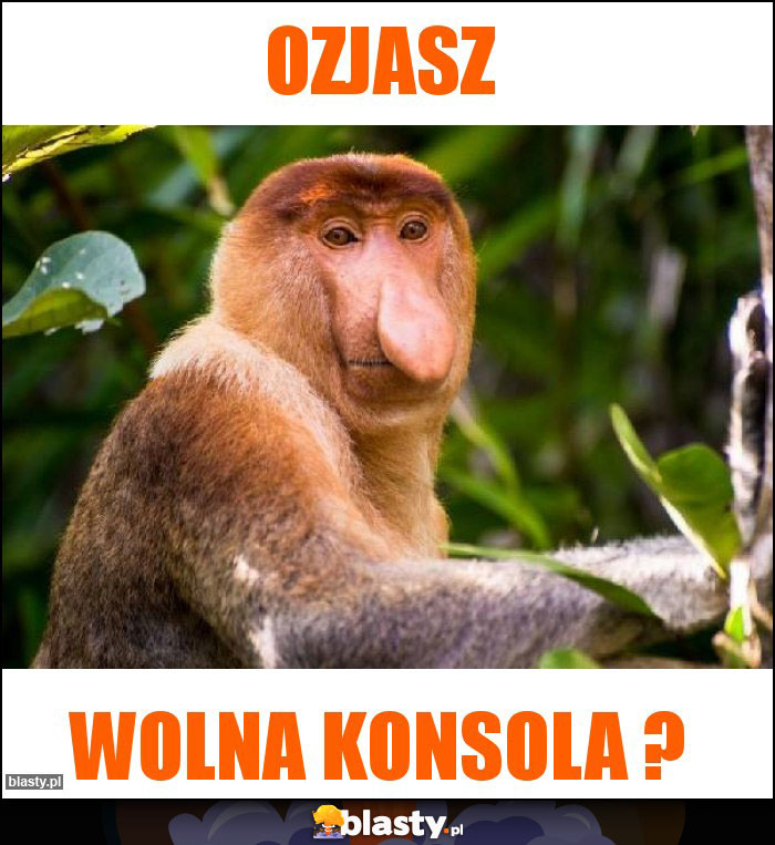 Ozjasz