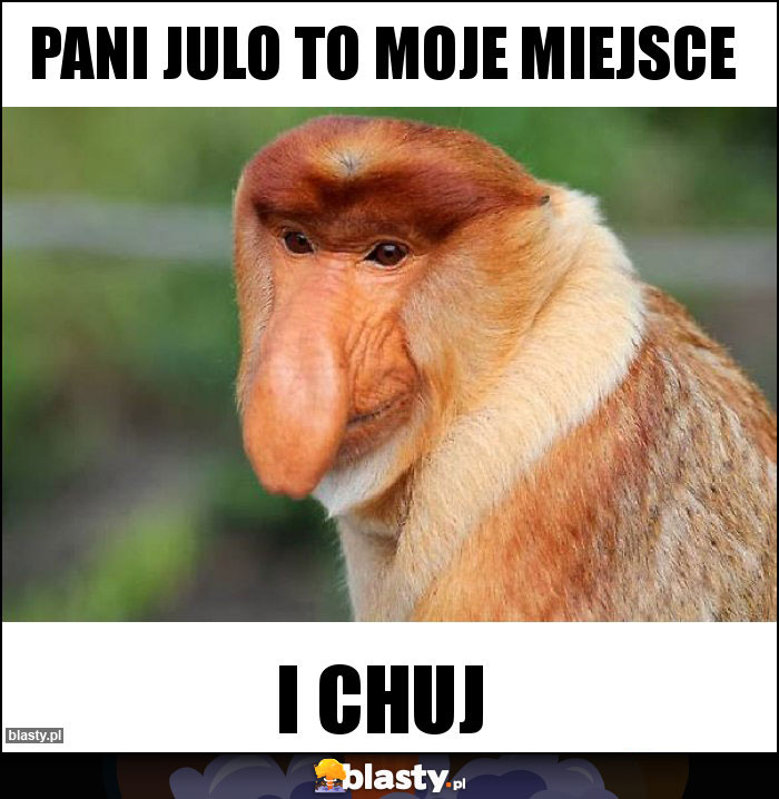 Pani JulO To moje miejsce