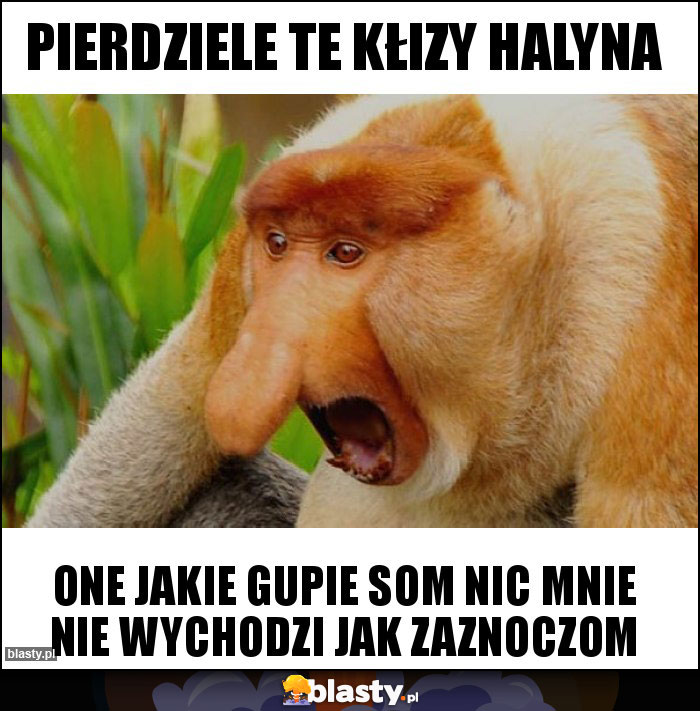 Pierdziele te kłizy Halyna