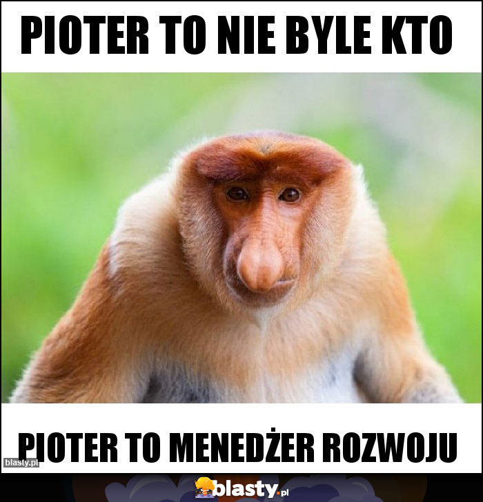 Pioter to nie byle kto