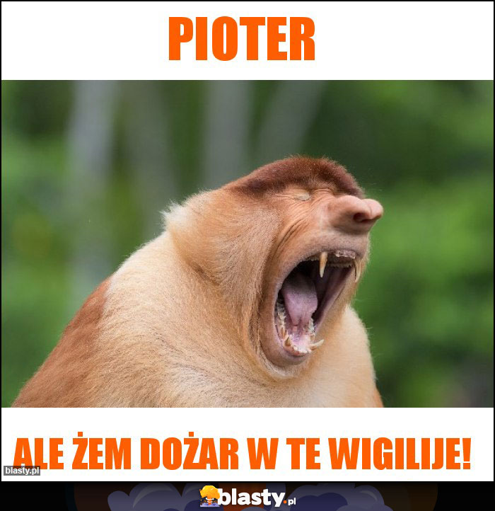 Pioter