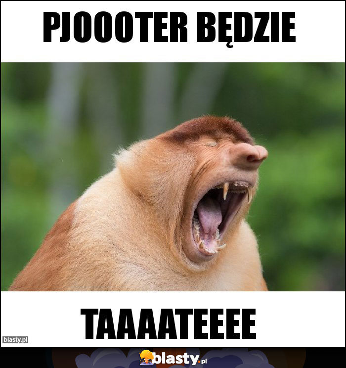 Pjoooter będzie