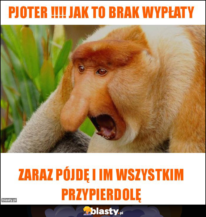 PJOTER !!!! jak to brak wypłaty