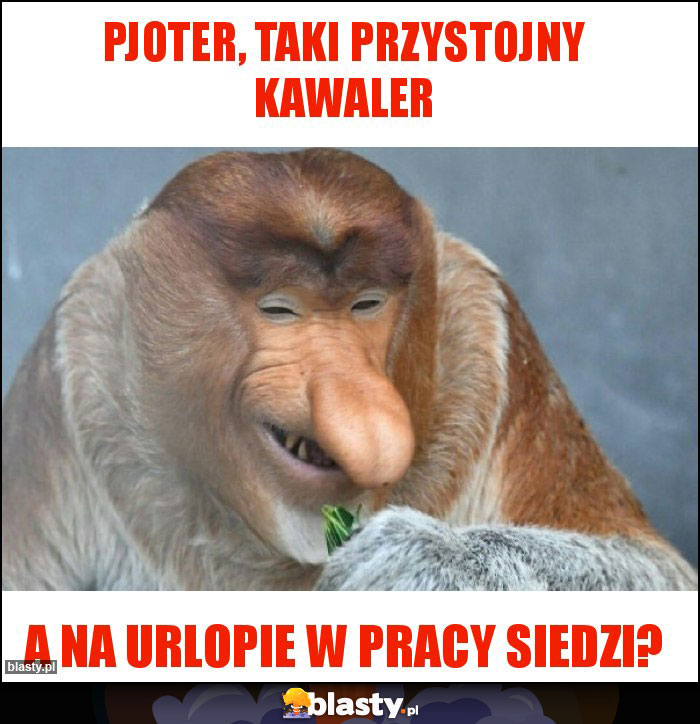 Pjoter, taki przystojny kawaler