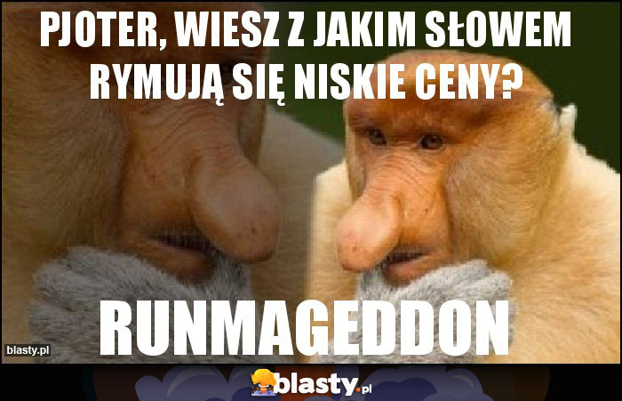 pjoter, wiesz z jakim słowem rymują się niskie ceny?