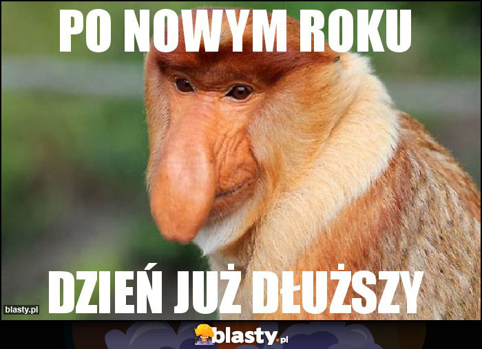 Po Nowym Roku