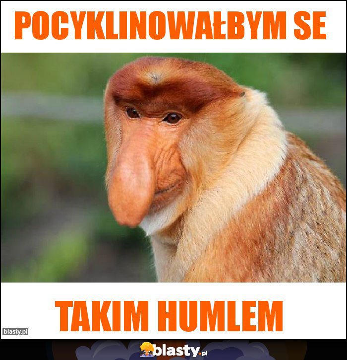 pocyklinowałbym se