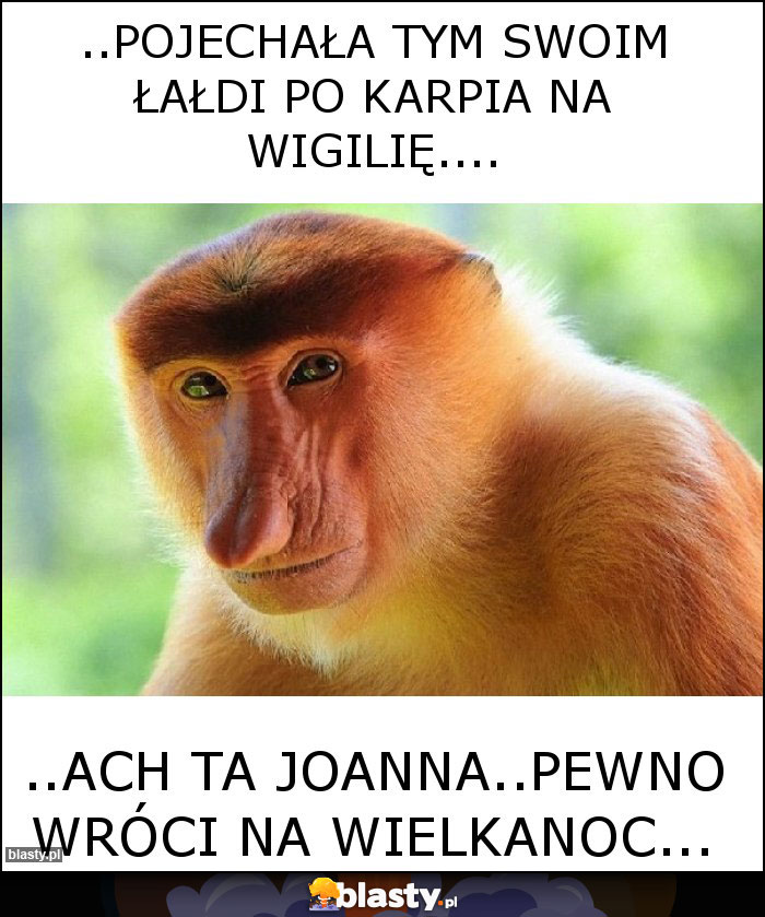 ..pojechała tym swoim Łałdi po karpia na wigilię....