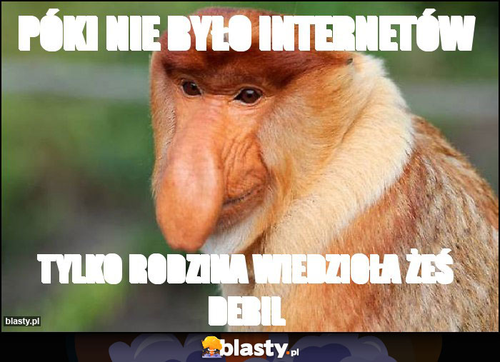 Póki nie było internetów