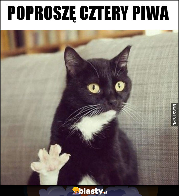 Poproszę cztery piwa