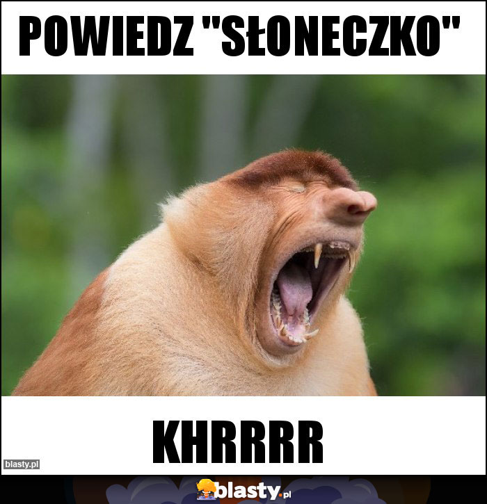 Powiedz 