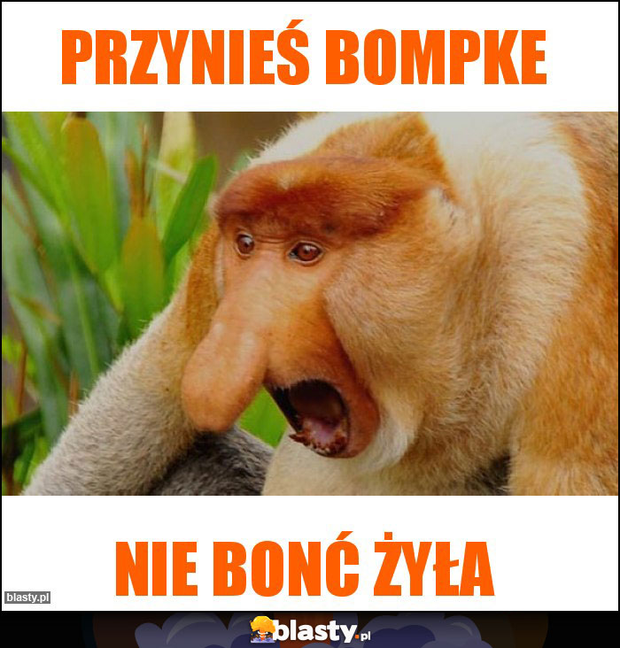 Przynieś Bompke