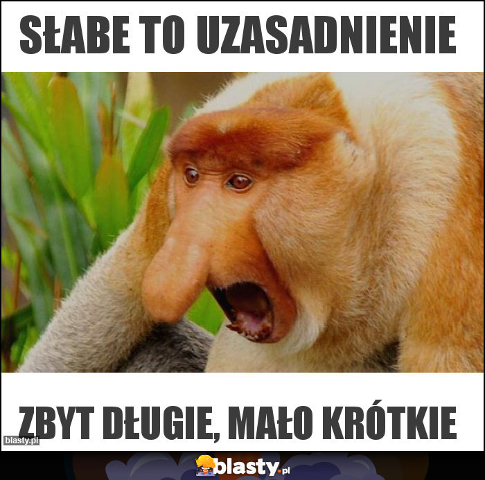 SŁABE TO UZASADNIENIE