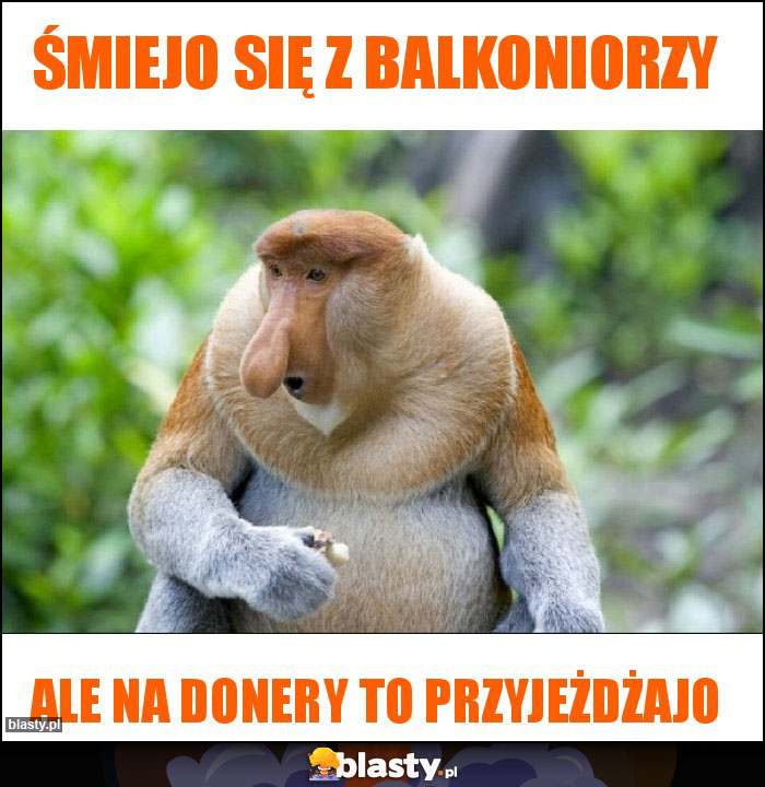 Śmiejo się z balkoniorzy