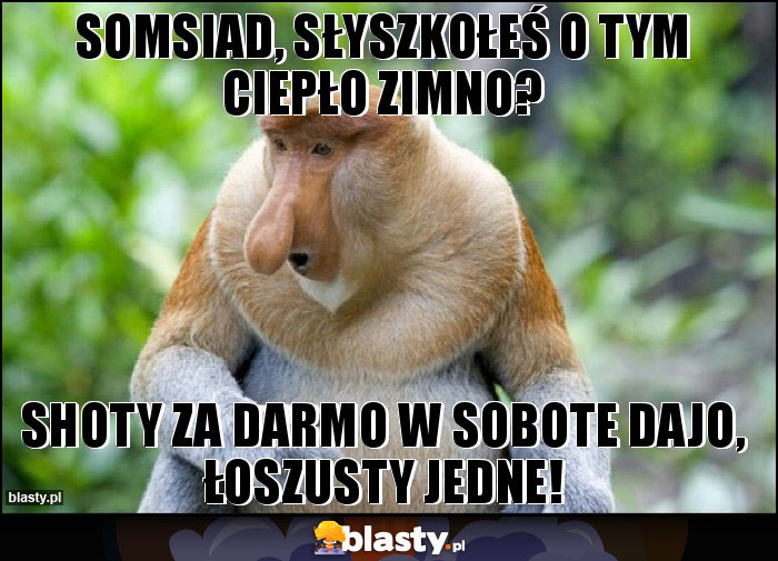 SOMSIAD, SŁYSZKOŁEŚ O TYM CIEPŁO ZIMNO?