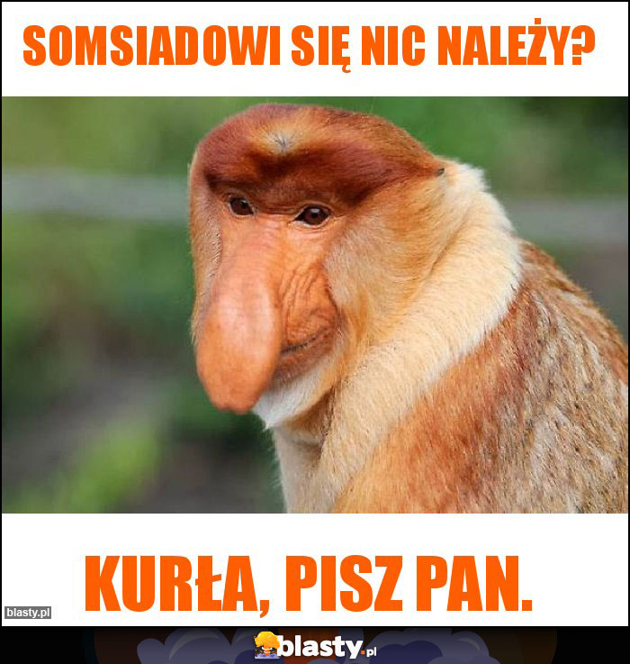 Somsiadowi się nic należy?