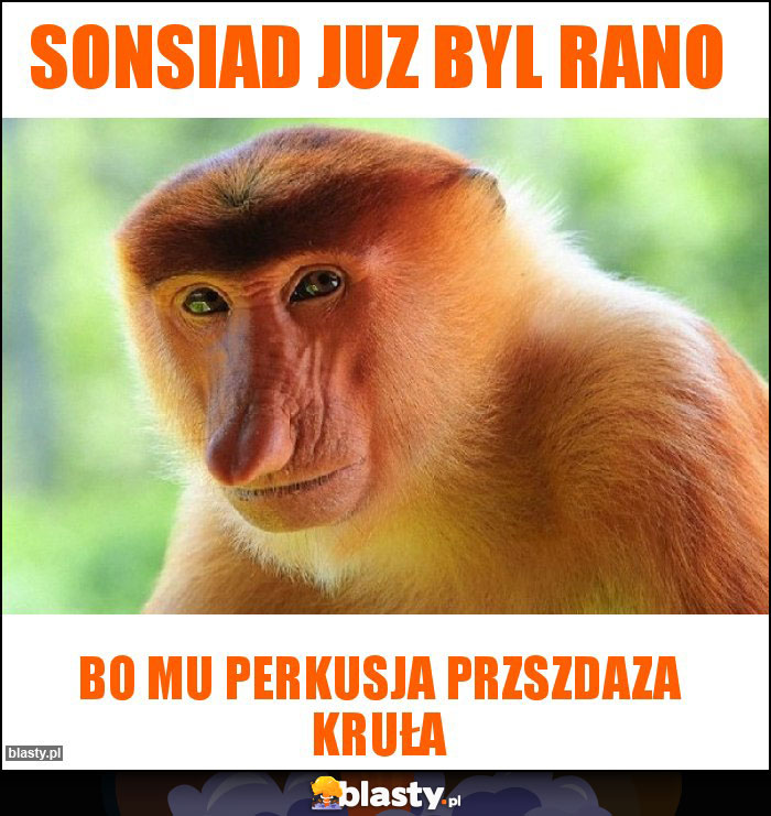 sonsiad juz byl rano