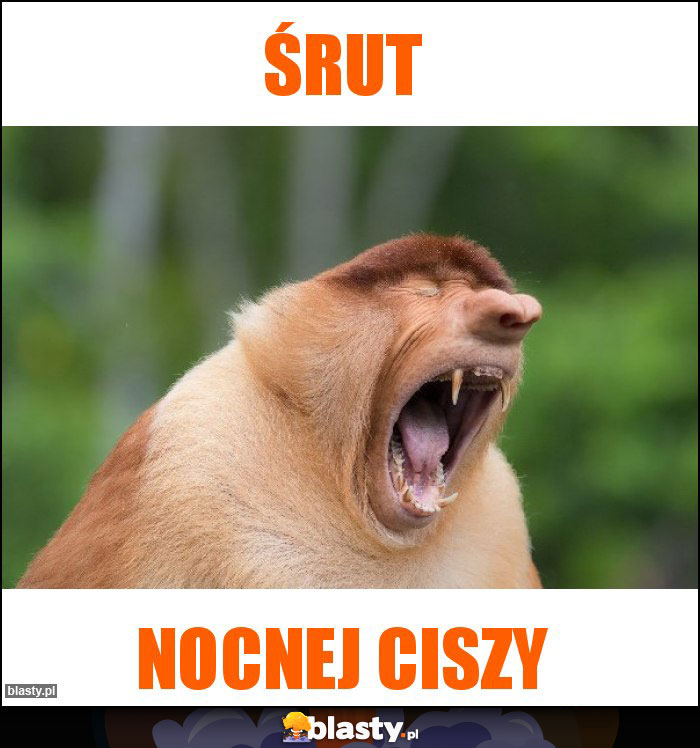 ŚRUT