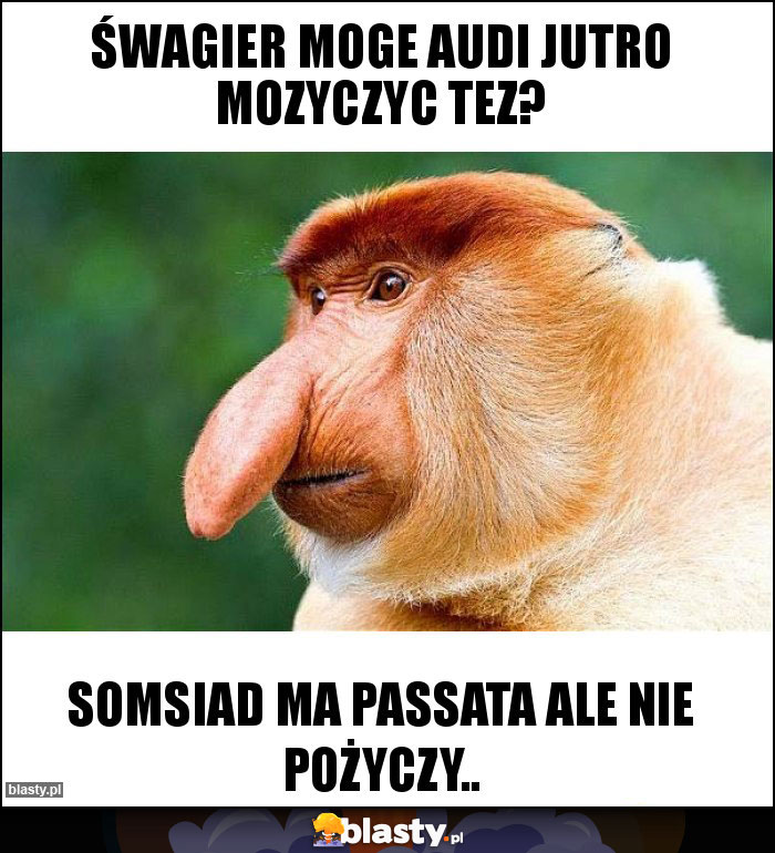 ŚWAGIER MOGE AUDI JUTRO MOZYCZYC TEZ?