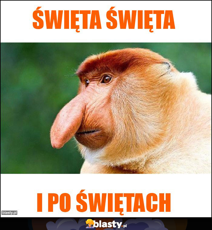 ŚWIĘTA ŚWIĘTA