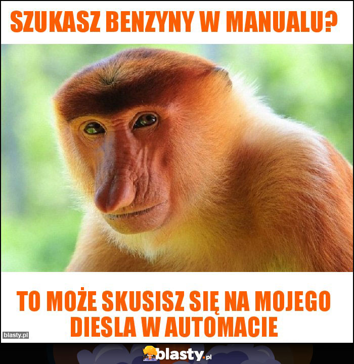 Szukasz benzyny w manualu?