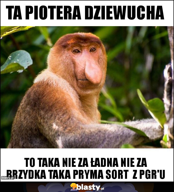 Ta Piotera dziewucha