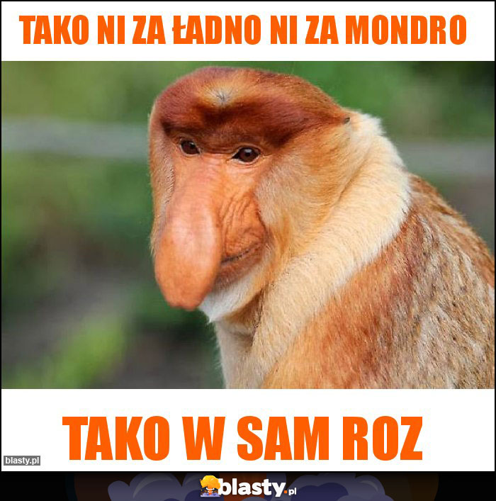 Tako ni za ładno ni za mondro