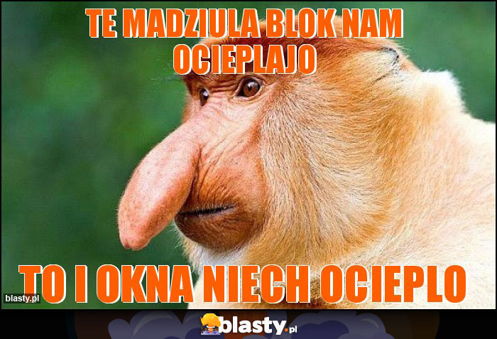 TE MADZIULA BLOK NAM OCIEPLAJO