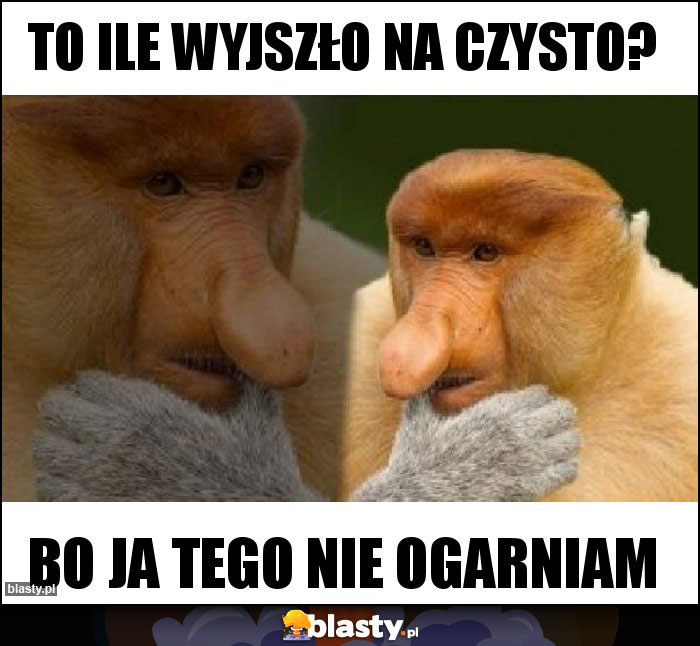 To ile wyjszło na czysto?