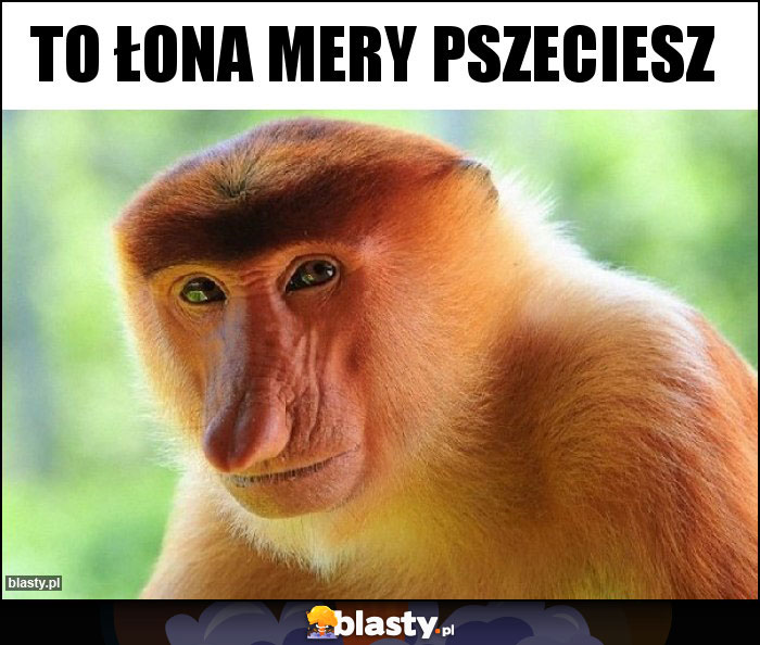 To łona mery pszeciesz