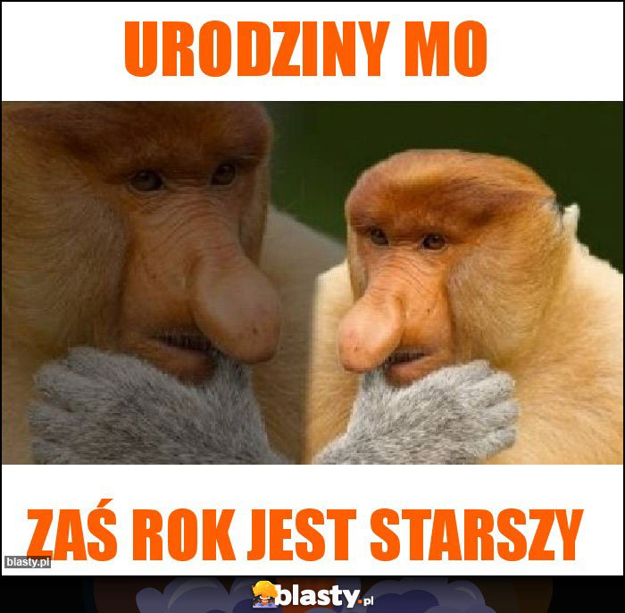 Urodziny mo