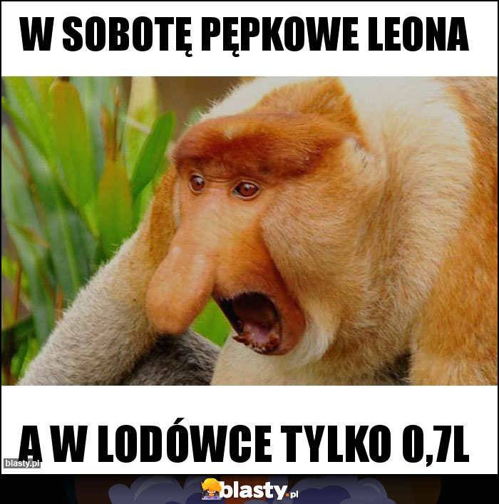 W sobotę pępkowe leona