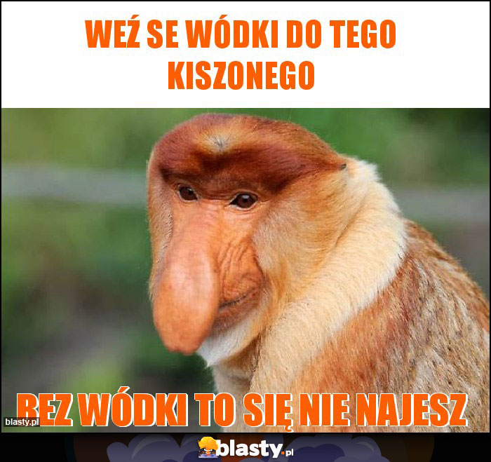 Weź se wódki do tego kiszonego