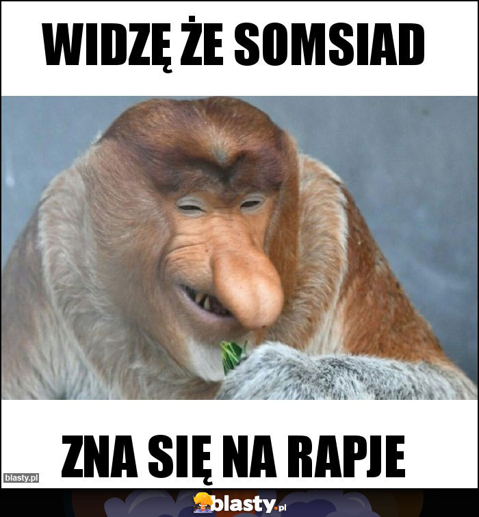 Widzę że somsiad