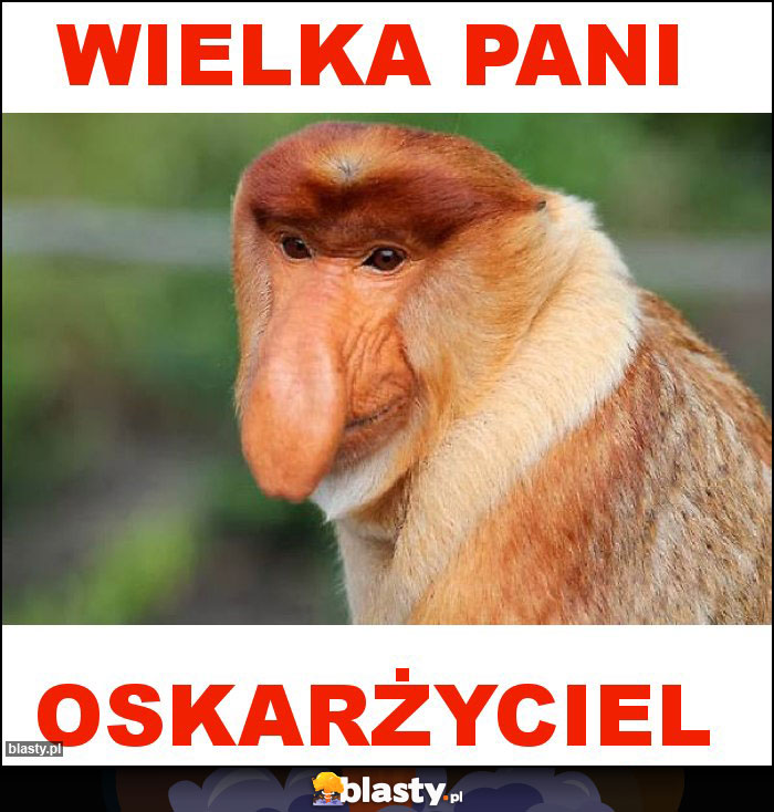 WIELKA PANI