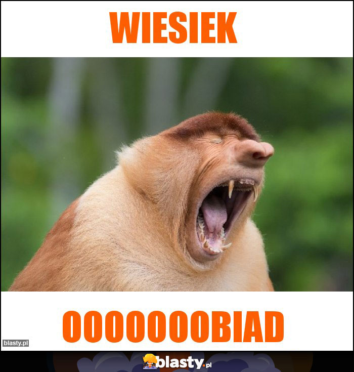 Wiesiek