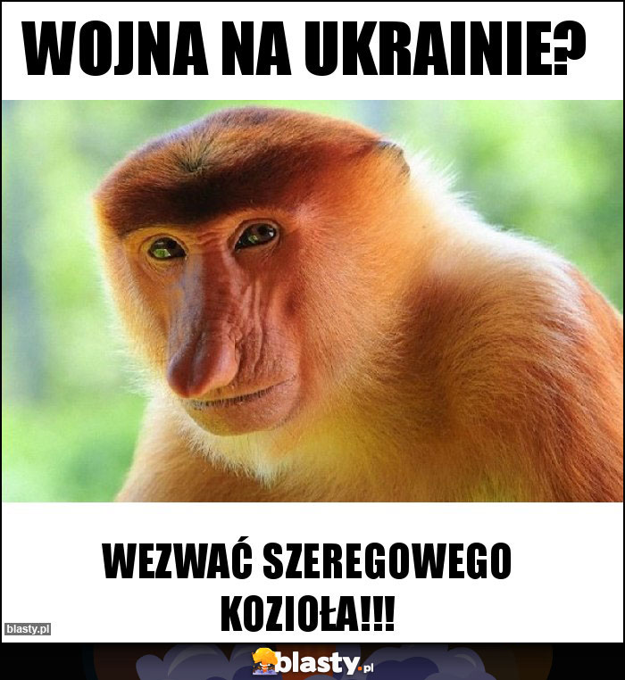 Wojna na ukrainie?