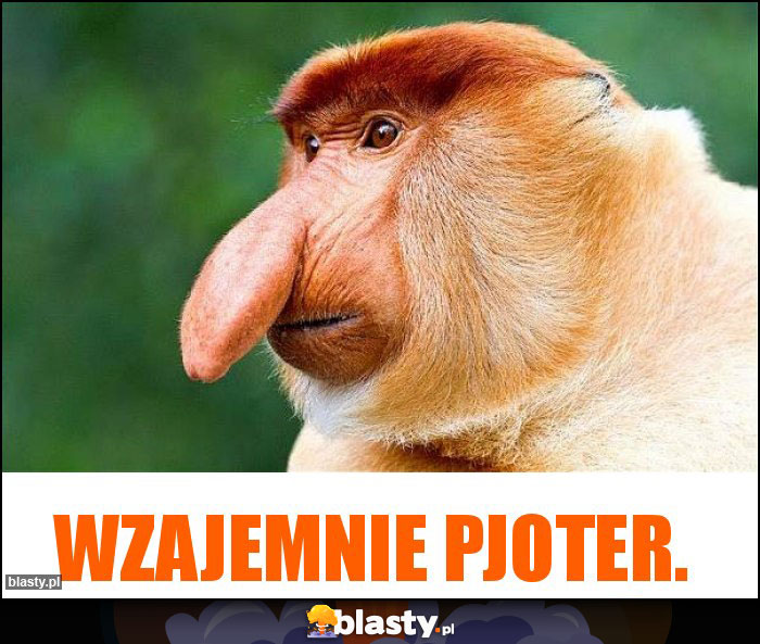 Wzajemnie Pjoter.