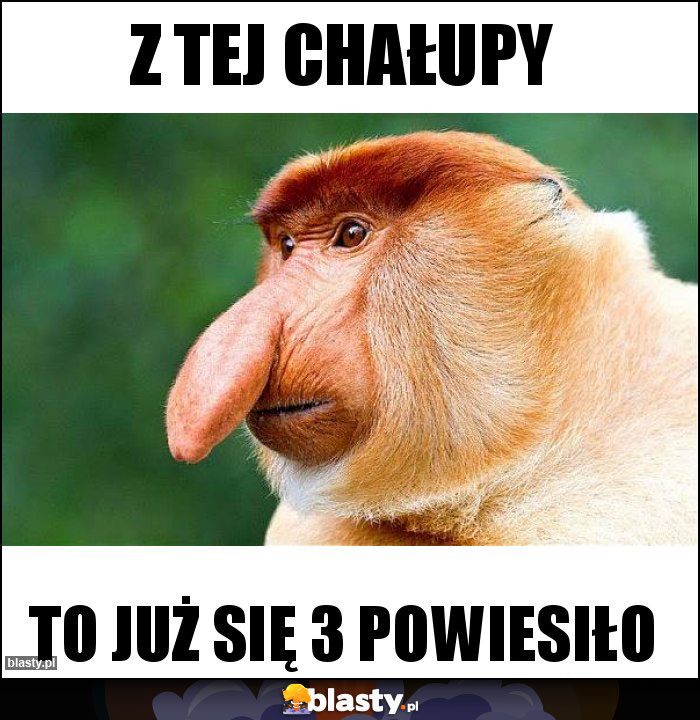 Z tej chałupy