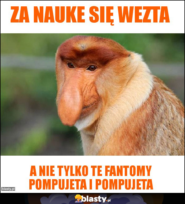 ZA NAUKE SIĘ WEZTA