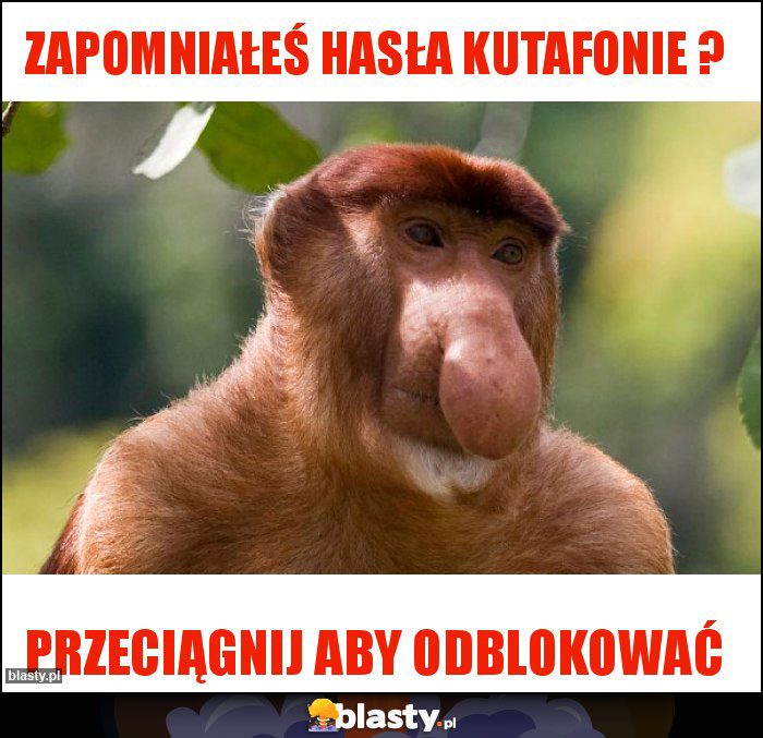 zapomniałeś hasła kutafonie ?