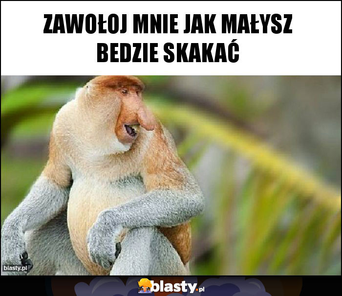 ZAWOŁOJ MNIE JAK MAŁYSZ BEDZIE SKAKAĆ